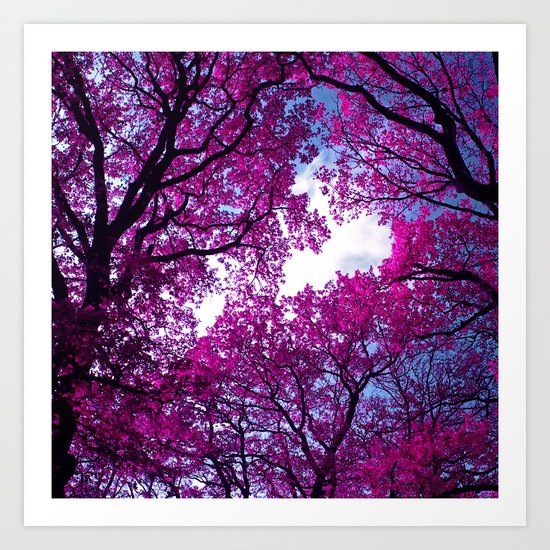 purple tree XVII Art Print