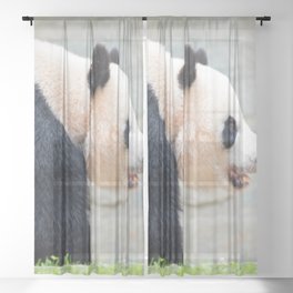 walking panda Sheer Curtain