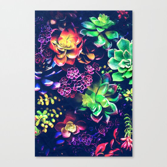 Colorful Plants Canvas Print