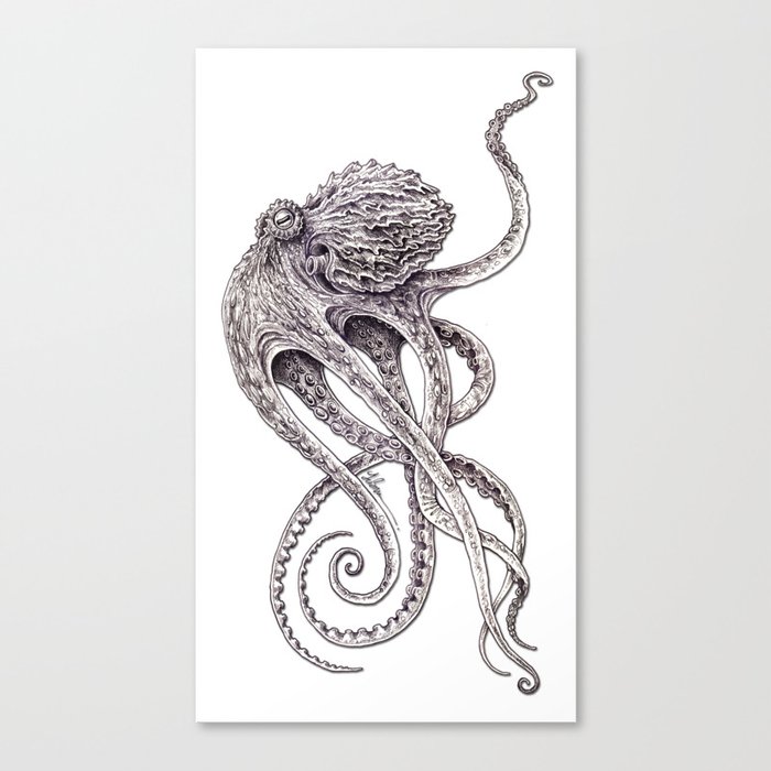 Cephalopod Canvas Print