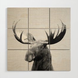 Moose - Black & White Wood Wall Art