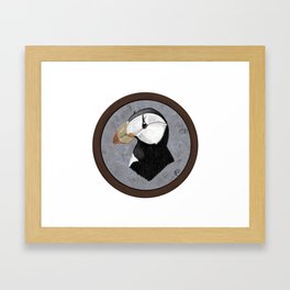 Horned puffin portrait Framed Art Print