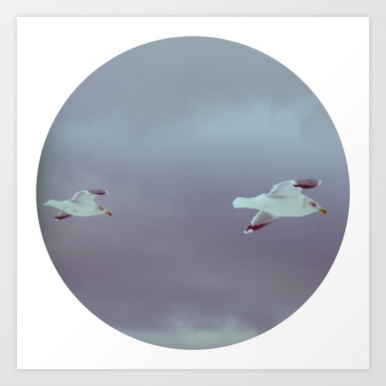 2 seagulls Art Print
