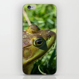 Green Frog closeup iPhone Skin