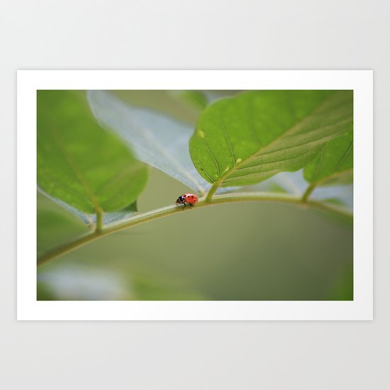 Across the Bridge Art Print