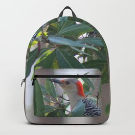 Red-Bellied Woodpecker Backpack