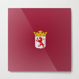 Flag of Leon Metal Print