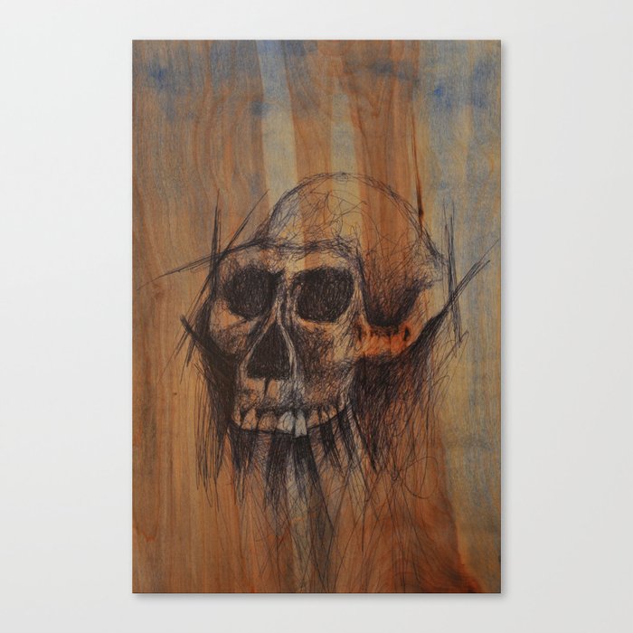 robustus skull Canvas Print