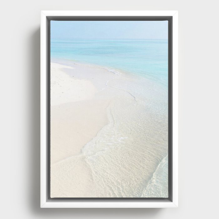 Framed Canvas