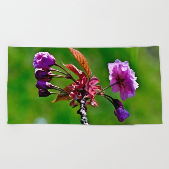 Pink Blossoms of Spring Beach Towel