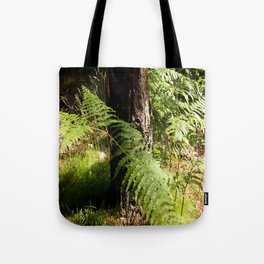Guardians of the Scottish Highlands Woodland Tote Bag
