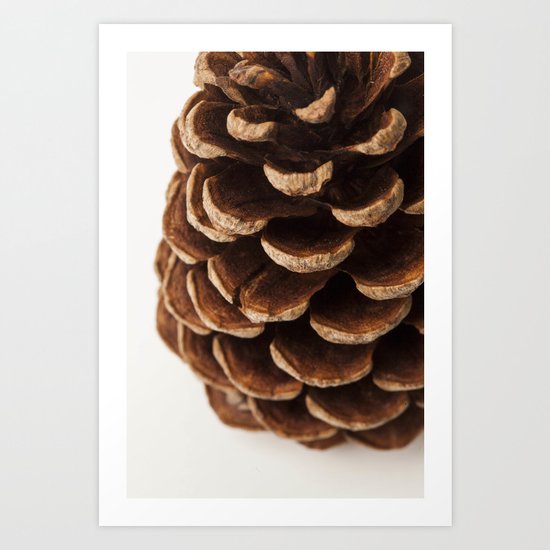 Pine Cone Detail - Macro Art Print