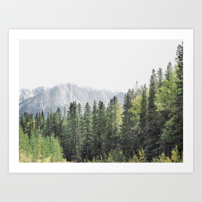 Treeline - Nature and Landscape Photography Art Print