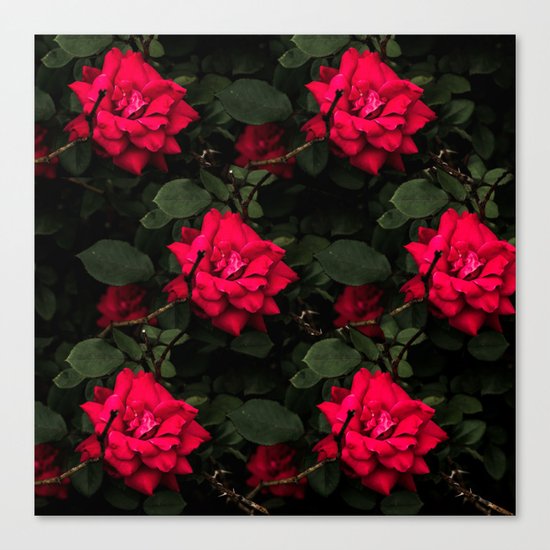Red Roses Canvas Print
