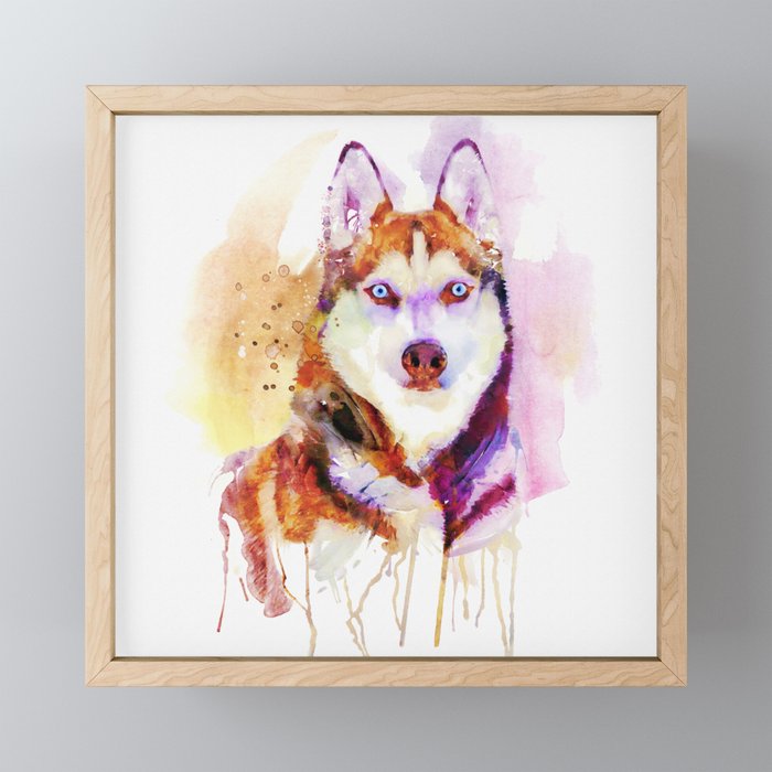 Husky Dog Watercolor Portrait Framed Mini Art Print