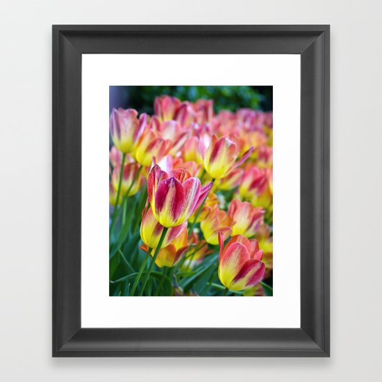 The Last Hurrah of Spring Framed Art Print