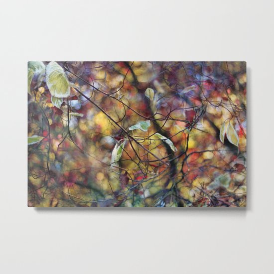 Autumn Rainbows Metal Print