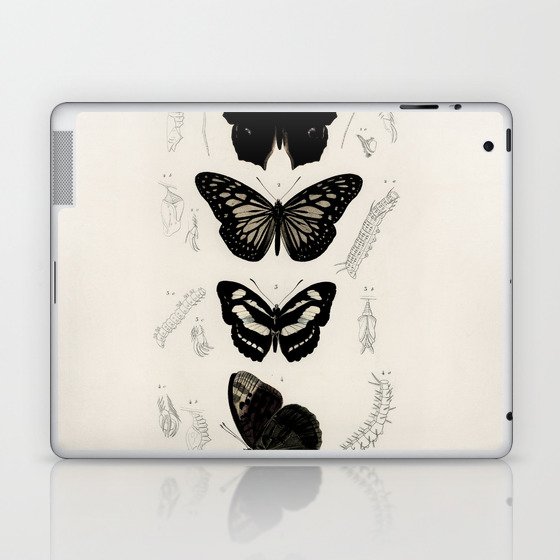Victorian Botany Butterflies Laptop & iPad Skin