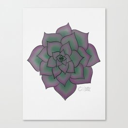 Echeveria Bloom Canvas Print