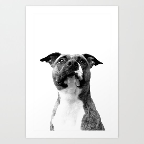 Dog Art Print