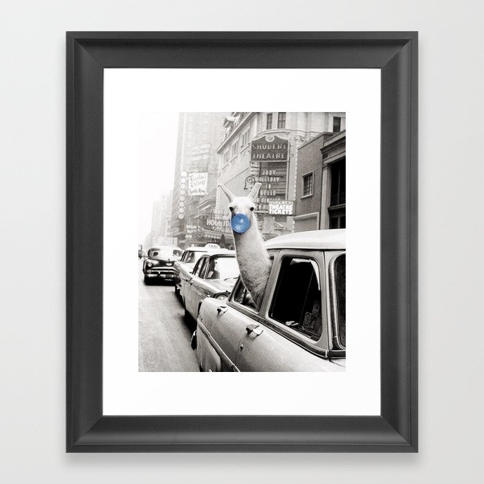 Yummy Blue Bubble Gum Llama taking a New York Taxi black and white photography Framed Art Print