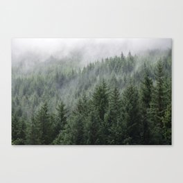 Fog Forest Canvas Print