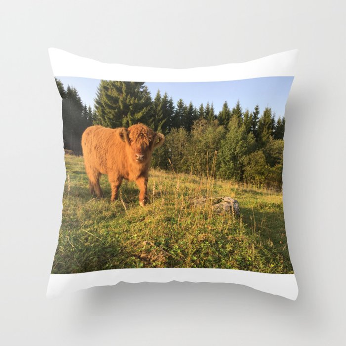 Fluffy Highland Cattle Cow 1188 Throw Pillow