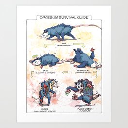 Opossum Survival Guide Art Print