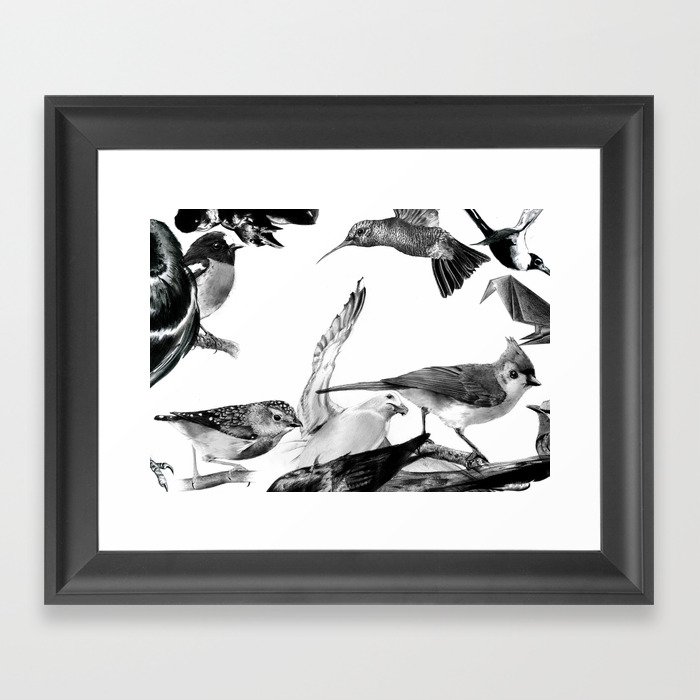 A Volery of Birds Framed Art Print