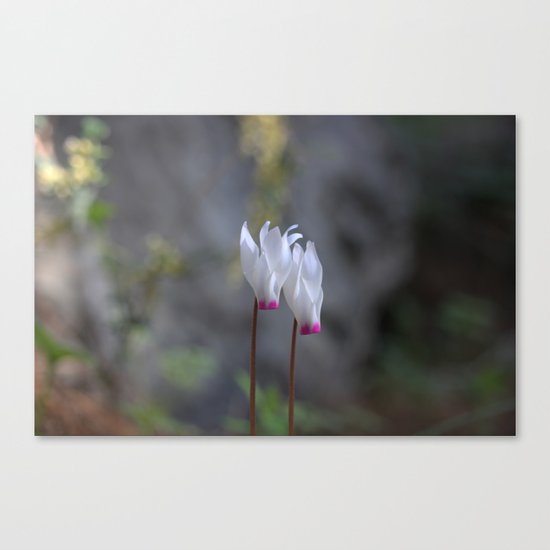 duet Canvas Print