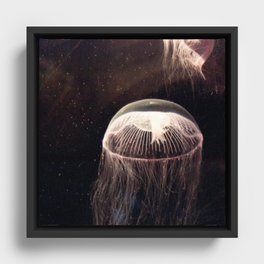 moon jelly Framed Canvas