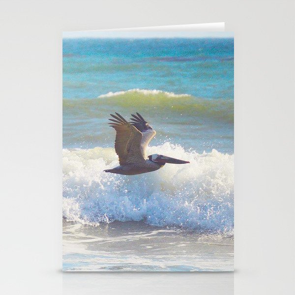 Pacific Pelican Stationery Cards