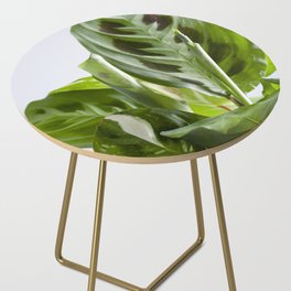 Maranta  |  The Houseplant Collection Side Table