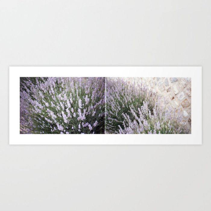 Lovely Lavender Double Frame on 35 mm Film Art Print