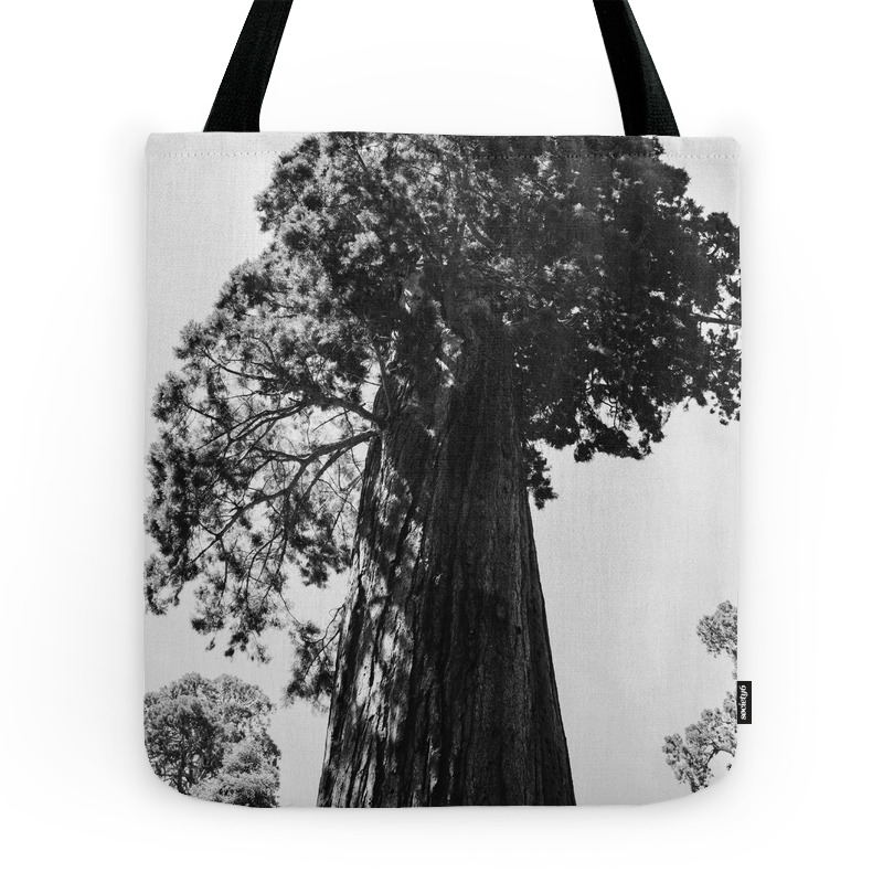 Sequoia National Park VI Tote Bag by bethanyyoung