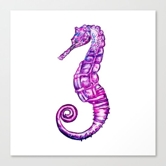 Sea Horse Canvas Print