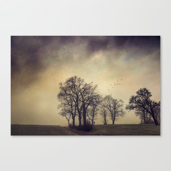 another day Canvas Print