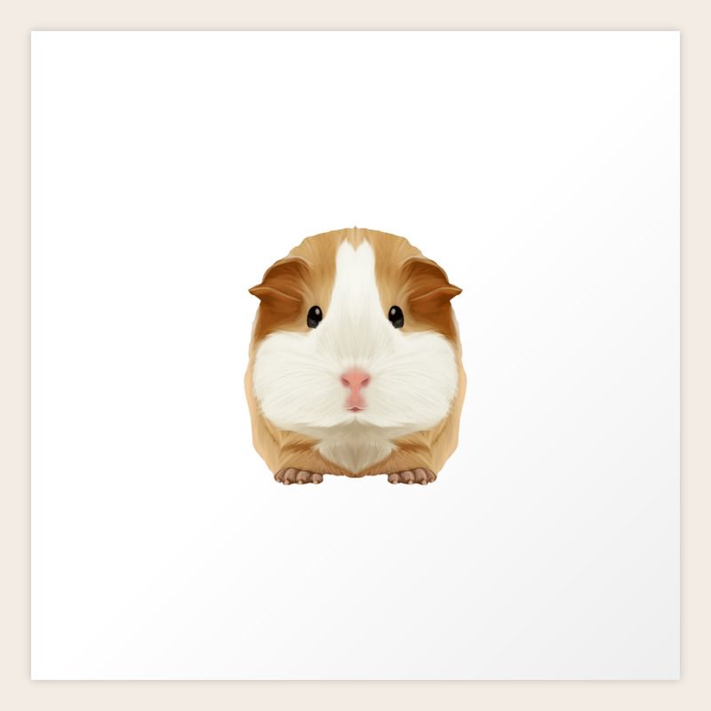 why do guinea pigs wheek