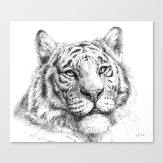 Tiger G081 Canvas Print