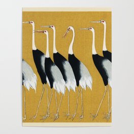 Vintage Japanese Poster, Seven Cranes, Flock of Beautiful Japanese Red Crown Crane by Ogata Korin Poster