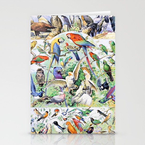 Adolphe Millot "Birds" 2. Stationery Cards