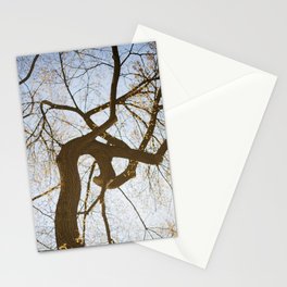 Willow in New York Stationery Card