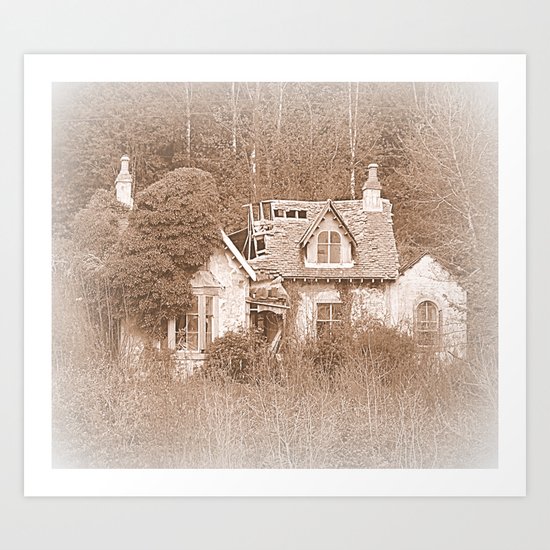 Derelict House Art Print