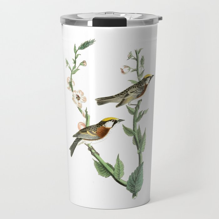 Audubon - Bird of america - Chesnut wood 1 Travel Mug
