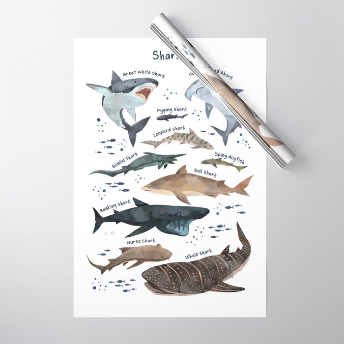 Shark wrapping paper on sale