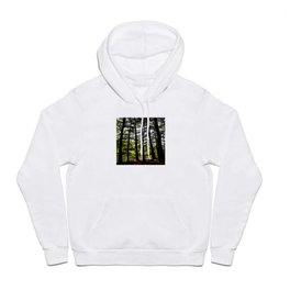 Stand of Trees Hoody