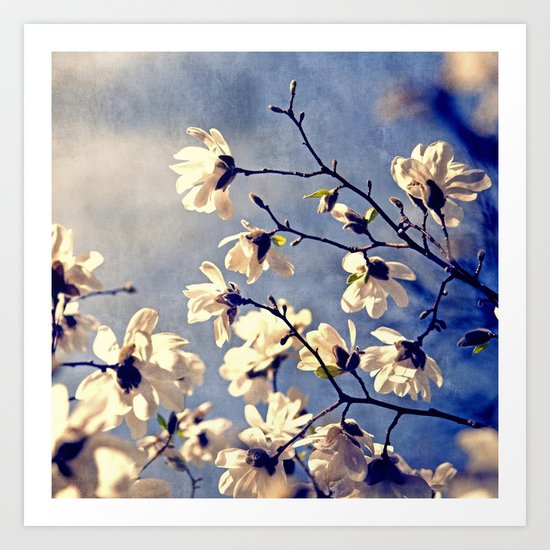 To The Sky Art Print