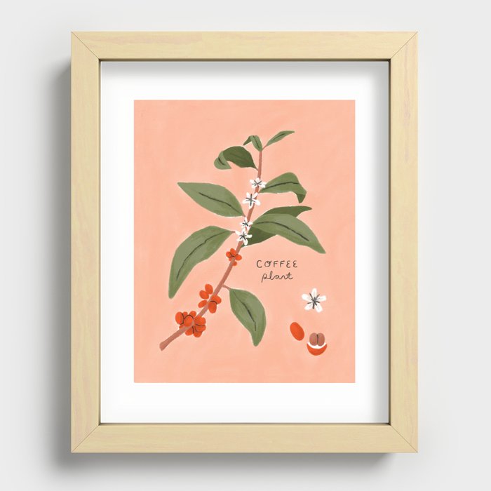 Coffee Plant Recessed Framed Print