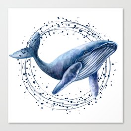 Great whale looking for empathy Canvas Print