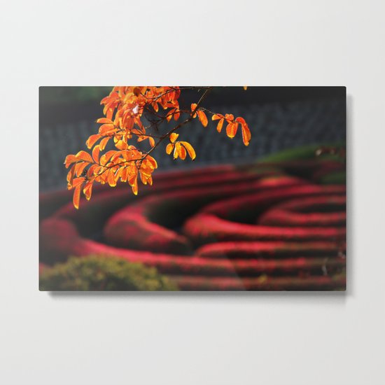 last days of fall Metal Print